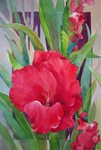 Gladiolas in Red